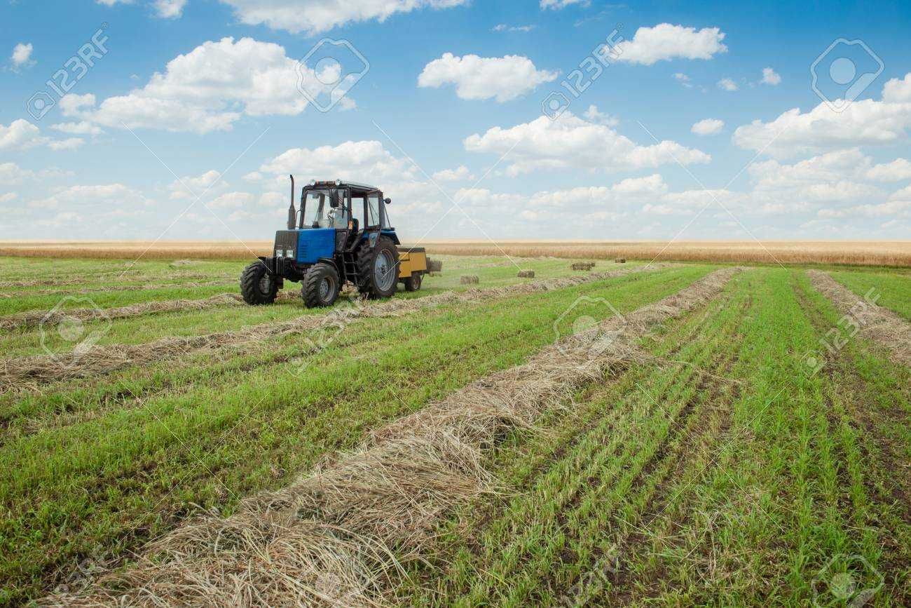 Земеделски имот в с. Любен, Област Силистра -  кв.м за 149 €/дка - Снимка #1