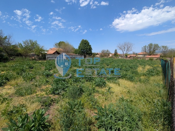 Парцел в с. Куцина, Област Велико Търново - 1300 кв.м за 8 €/кв.м - Снимка #1