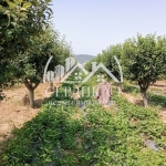 Парцел в Дупница - 2500 кв.м за 13 €/кв.м - Снимка #1