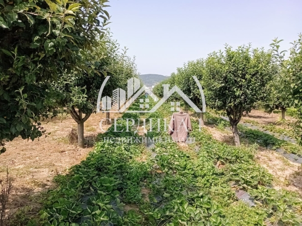 Парцел в Дупница - 2500 кв.м за 13 €/кв.м - Снимка #1