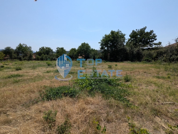 Парцел в с. Драгижево, Област Велико Търново - 1450 кв.м за 31 €/кв.м - Снимка #1