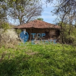 Парцел в Елена - 1000 кв.м за 6 €/кв.м - Снимка #1