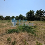 Парцел в с. Драгижево, Област Велико Търново - 1450 кв.м за 16 €/кв.м - Снимка #1