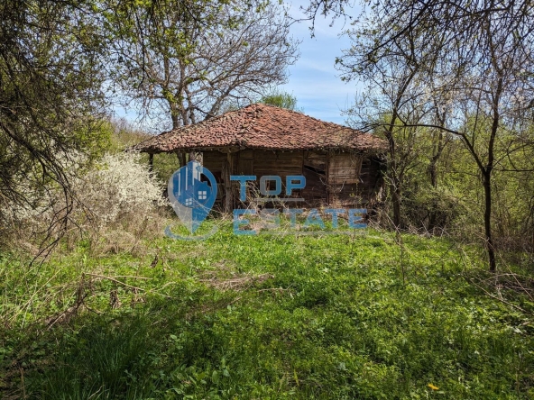 Парцел в Елена - 1000 кв.м за 12 €/кв.м - Снимка #1