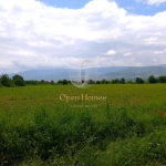 Парцел в Пловдив, Беломорски - 7450 кв.м за 36 €/кв.м - Снимка #1