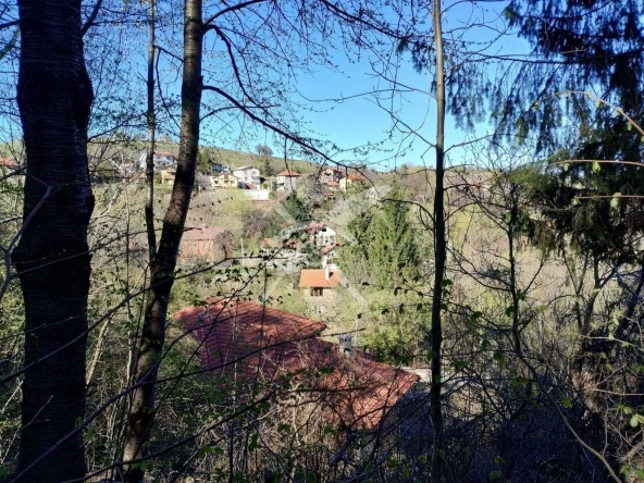 Парцел в с. Железница, Област София-град - 1683 кв.м за 43 €/кв.м - Снимка #1