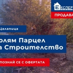 Парцел в с. Цалапица, Област Пловдив - 865 кв.м за 55 €/кв.м - Снимка #1