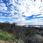 Парцел в к.к. Златни пясъци - 524 кв.м за 42 €/кв.м - Снимка #1