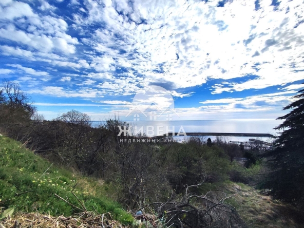 Парцел в к.к. Златни пясъци - 524 кв.м за 42 €/кв.м - Снимка #1