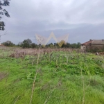 Парцел в с. Царичино, Област Добрич - 2500 кв.м за 22 €/кв.м - Снимка #1