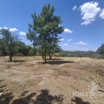 Парцел в с. Здравец, Област Варна - 1239 кв.м за 23 €/кв.м - Снимка #1