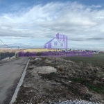 Парцел в с. Иваняне, Област София-град - 5452 кв.м за 57 €/кв.м - Снимка #1