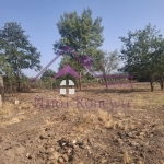 Парцел в с. Здравец, Област Варна - 1238 кв.м за 21 €/кв.м - Снимка #1