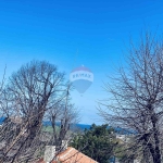 Дава се под наем Офис в Варна, Галата - 230 кв.м за 1396.38 € - Снимка #1