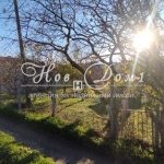 Парцел в Варна, Виница - 412 кв.м за 62 €/кв.м - Снимка #1