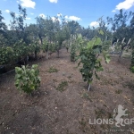 Парцел в Варна, м-т Ментешето - 600 кв.м за 74 €/кв.м - Снимка #1