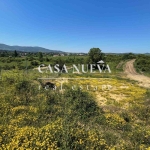 Парцел в с. Драгичево, Област Перник - 1400 кв.м за 12 €/кв.м - Снимка #1