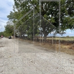 Парцел в с. Крумово, Област Пловдив - 3702 кв.м за 20 €/кв.м - Снимка #1