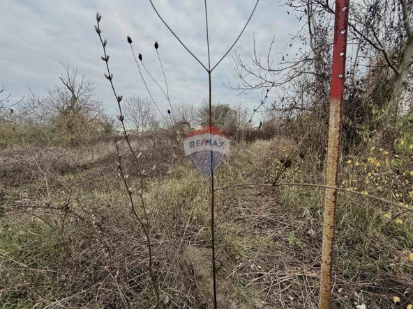 Парцел в с. Кранево, Област Добрич - 486 кв.м за 60 €/кв.м - Снимка #1