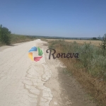 Парцел в Игнатиево - 3125 кв.м за 20 €/кв.м - Снимка #1