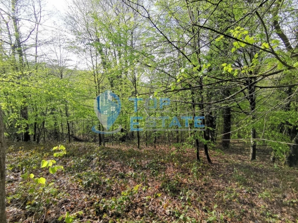 Парцел в с. Боженците, Област Габрово - 466 кв.м за 13 €/кв.м - Снимка #1