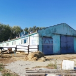 Промишлена сграда в с. Ресен, Област Велико Търново - 1740 кв.м за 43 €/кв.м - Снимка #1