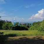 Парцел в Горна Оряховица - 1533 кв.м за 11 €/кв.м - Снимка #1