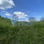 Парцел в Велико Търново, Бузлуджа - 5000 кв.м за 26 €/кв.м - Снимка #1