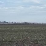 Парцел в с. Крумово, Област Пловдив - 6004 кв.м за 13 €/кв.м - Снимка #1