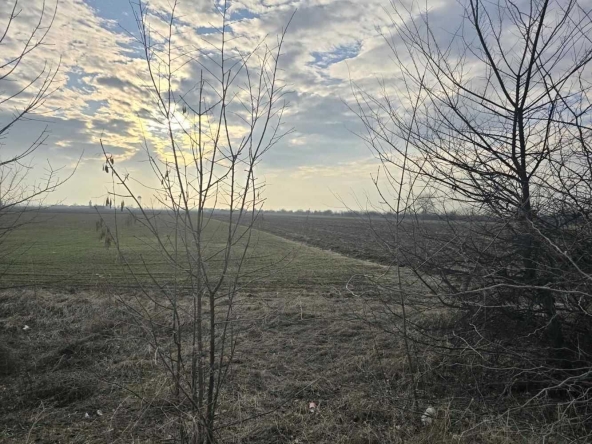 Парцел в с. Крумово, Област Пловдив - 2597 кв.м за 13 €/кв.м - Снимка #1