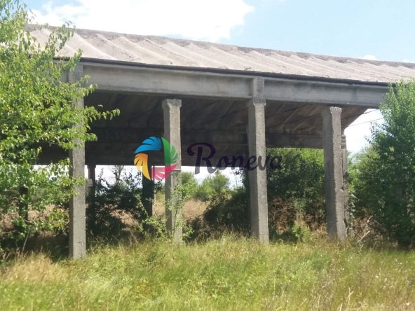 Парцел в с. Левски, Област Варна - 2782 кв.м за 20 €/кв.м - Снимка #1