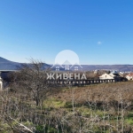 Парцел в с. Оброчище, Област Добрич - 7540 кв.м за 9 €/кв.м - Снимка #1