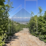 Парцел в с. Руен, Област Пловдив - 1369 кв.м за 20 €/кв.м - Снимка #1