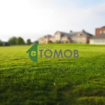 Парцел в с. Драгоево, Област Шумен - 975 кв.м за 15 €/кв.м - Снимка #1