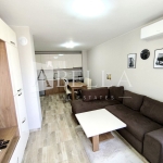Дава се под наем Двустаен апартамент в София, Бъкстон - 70 кв.м за 598.23 € - Снимка #1