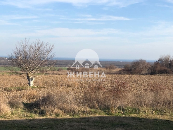 Парцел в с. Рогачево, Област Добрич - 5259 кв.м за 14 €/кв.м - Снимка #1