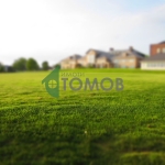 Парцел в с. Лозево, Област Шумен - 772 кв.м за 15 €/кв.м - Снимка #1