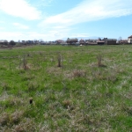 Парцел в Нови Искър - 1440 кв.м за 14 €/кв.м - Снимка #1