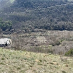 Парцел в Каварна - 16152 кв.м за 14 €/кв.м - Снимка #1