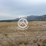 Парцел в с. Първенец, Област Пловдив - 3469 кв.м за 41 €/кв.м - Снимка #1