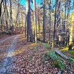 Земеделски имот в с. Бойково, Област Пловдив -  кв.м за 20 €/дка - Снимка #1