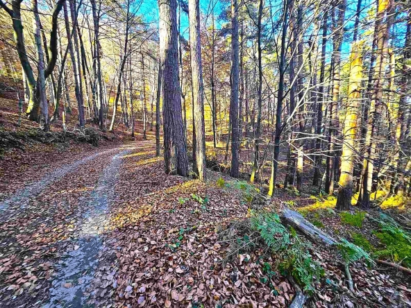 Земеделски имот в с. Бойково, Област Пловдив -  кв.м за 20 €/дка - Снимка #1