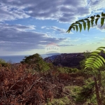 Парцел в Балчик - 1989 кв.м за 21 €/кв.м - Снимка #1