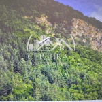 Парцел в с. Бистрица, Област Кюстендил - 1081 кв.м за 65 €/кв.м - Снимка #1