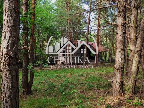 Парцел в с. Боснек, Област Перник - 720 кв.м за 27 €/кв.м - Снимка #1