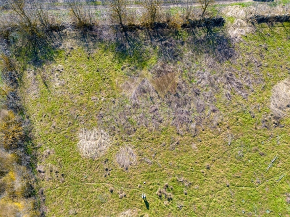 Парцел в с. Българево, Област Добрич - 1000 кв.м за 11 €/кв.м - Снимка #1