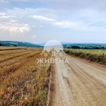 Парцел в с. Кичево, Област Варна - 4200 кв.м за 16 €/кв.м - Снимка #1