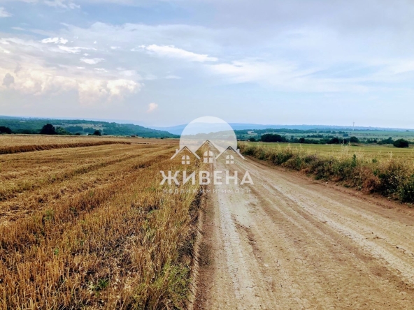 Парцел в с. Кичево, Област Варна - 4200 кв.м за 16 €/кв.м - Снимка #1