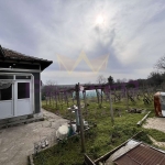 Къща в с. Житен, Област Добрич - 76 кв.м за 302 €/кв.м - Снимка #1