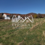 Парцел в с. Ковачевци, Област Перник - 2000 кв.м за 8 €/кв.м - Снимка #1